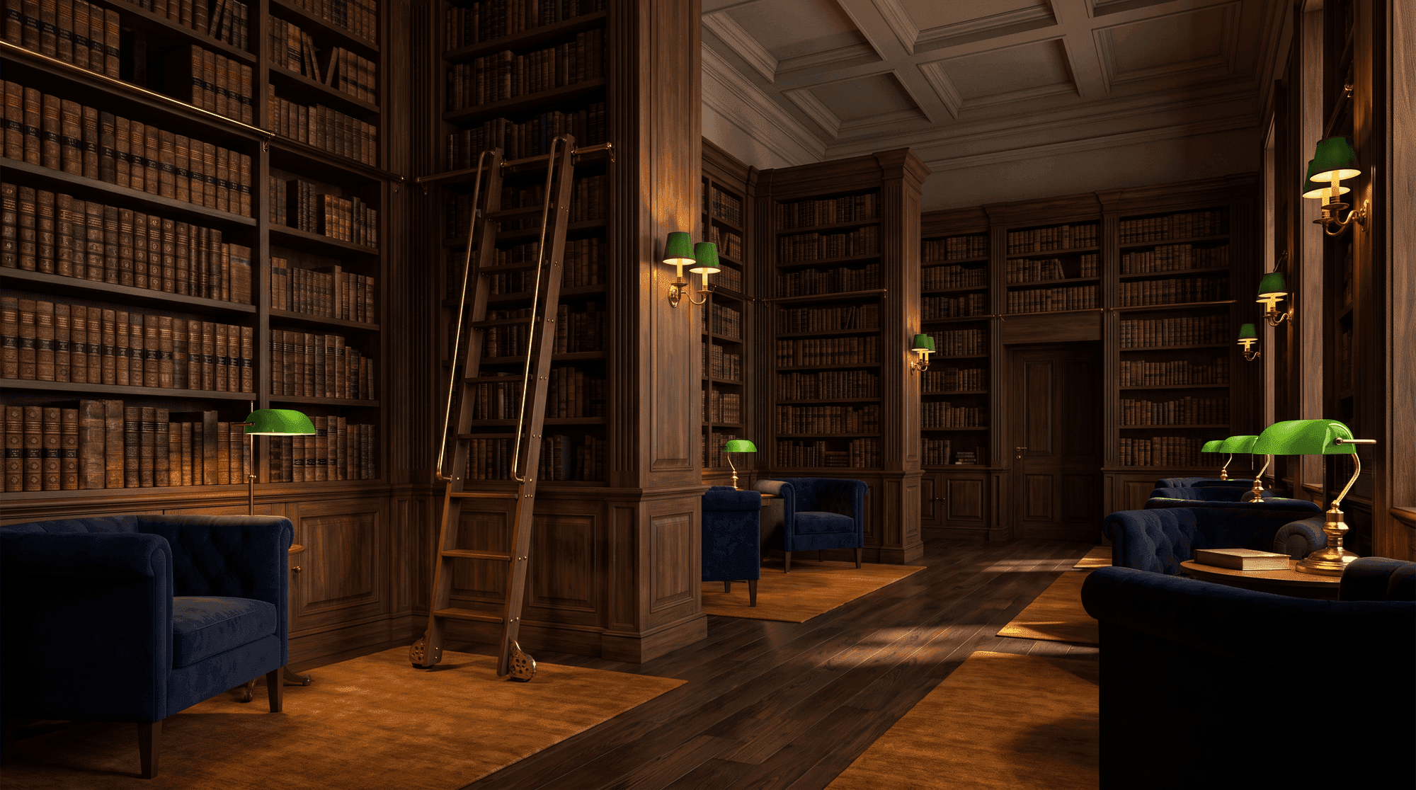 Biblioteca del estudio jurídico